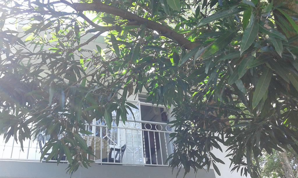 Villa Les Badamiers Flic-en-Flacq Exterior foto
